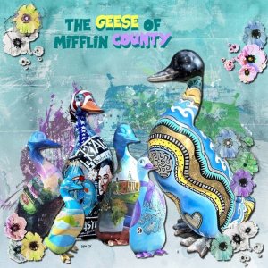 Geese of Mifflin County