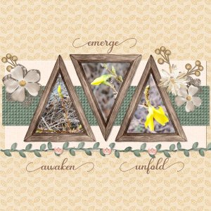 04_02 Single Line Of Focus