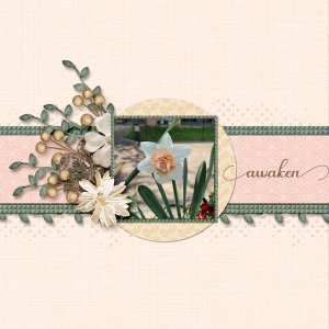 Single Line of Focus_April 2