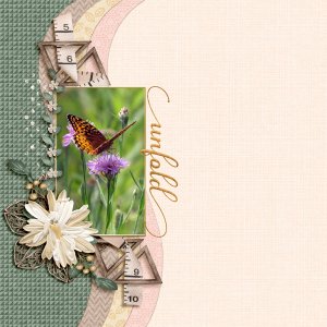 AOM-02 - Unfold