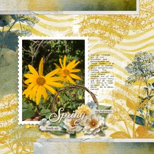 Spring Renewal