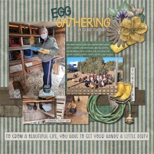 Muddy Boots - Egg Gathering.jpg