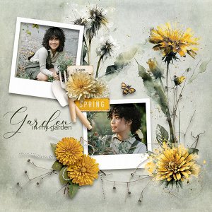 Spring is Flourishing