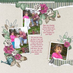 Time to pull the beets Reesa - Papa 2013