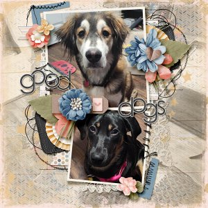 Good Dogs