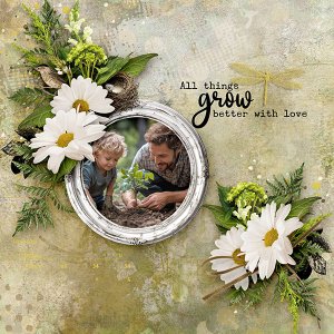 Memories are Precious