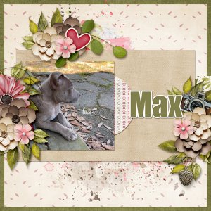 Max - The Art of Memories