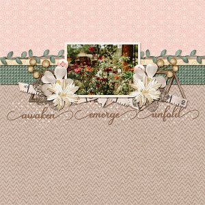 Awaken, Emerge, Unfold