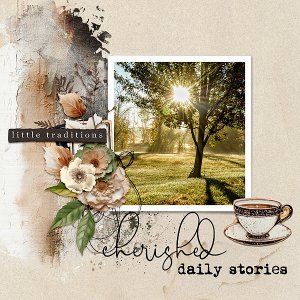 Cherished Daily Stories