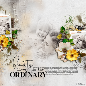 beauty lives in the ordinary