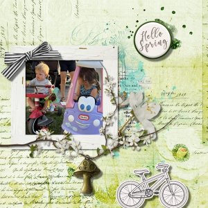 Nine plus one Challenge by CarolW Designs