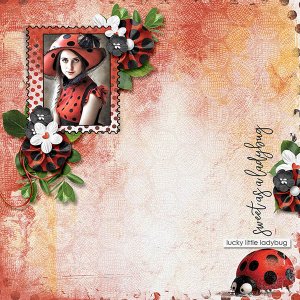 Ladybug