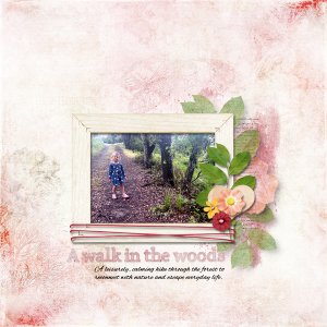A Walk in the Woods