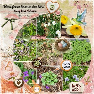 04_23 Following A Recipe