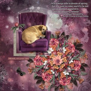 Doggie Dreams (AOM 4/23)