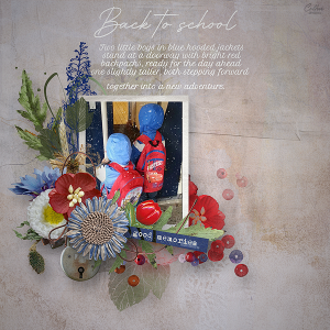 AOM Akizo Designs 17-04.png