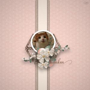 AOM DDDesigns 02-04.png