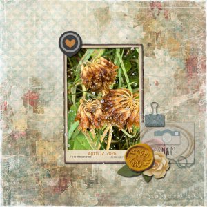 Day 24 Mystery Box 8x8 72.jpg