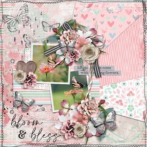 Bloom & Bless