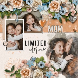 LIMITED EDITION