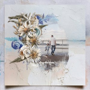 Along the shore