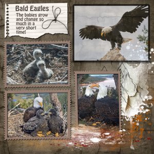 Change 8x8 72.jpg