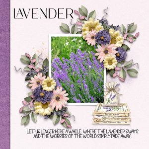 Lavender-Lane
