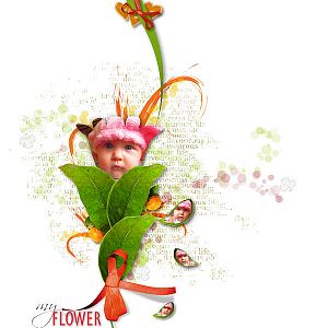 My flower