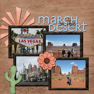 march in the desert