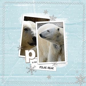 P is for Polar Bear