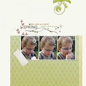 Herschaalde_kopie_van_LieN_sunnyspring_preview_Brien01