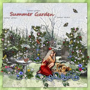 Summer Garden