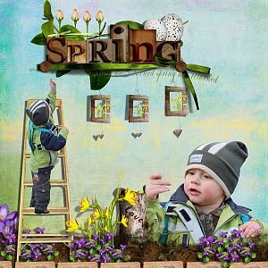 Tom_k-spring-DST-minimaliza