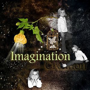 Imagination