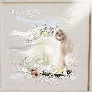 White Nights