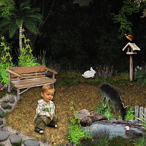 In the Forest - Layout 2