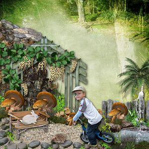 In the Forest - Layout 4