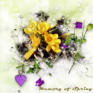 Memory of Spring