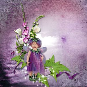 Lilac Fairy