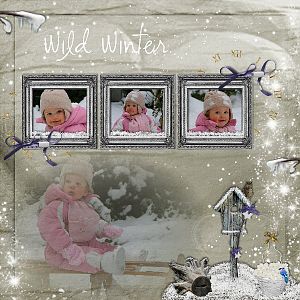 wild_winter3