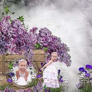 Lilac2