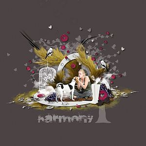 Harmony