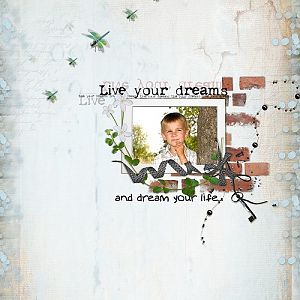 your dreams