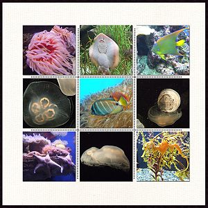 Southern California - Book Club