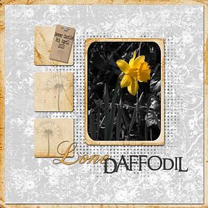 Lone Daffodil