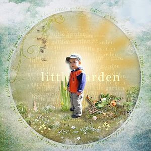 Little garden