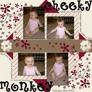 Cheeky Monkey