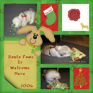 Welcome Santa Paws