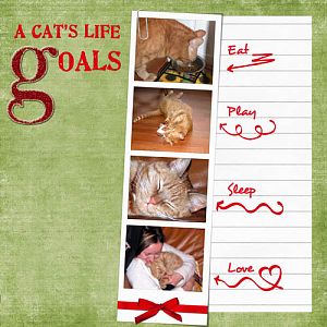 A cat's life goals