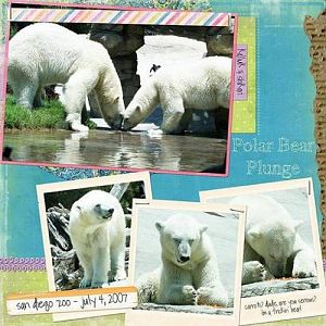 Polar Bears